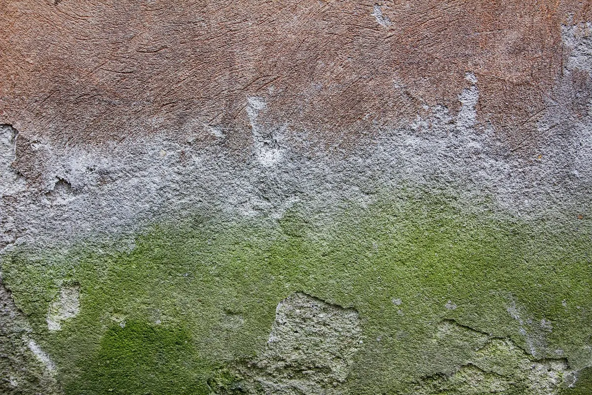 How to Trace and Fix Damp on a Gable-End Wall